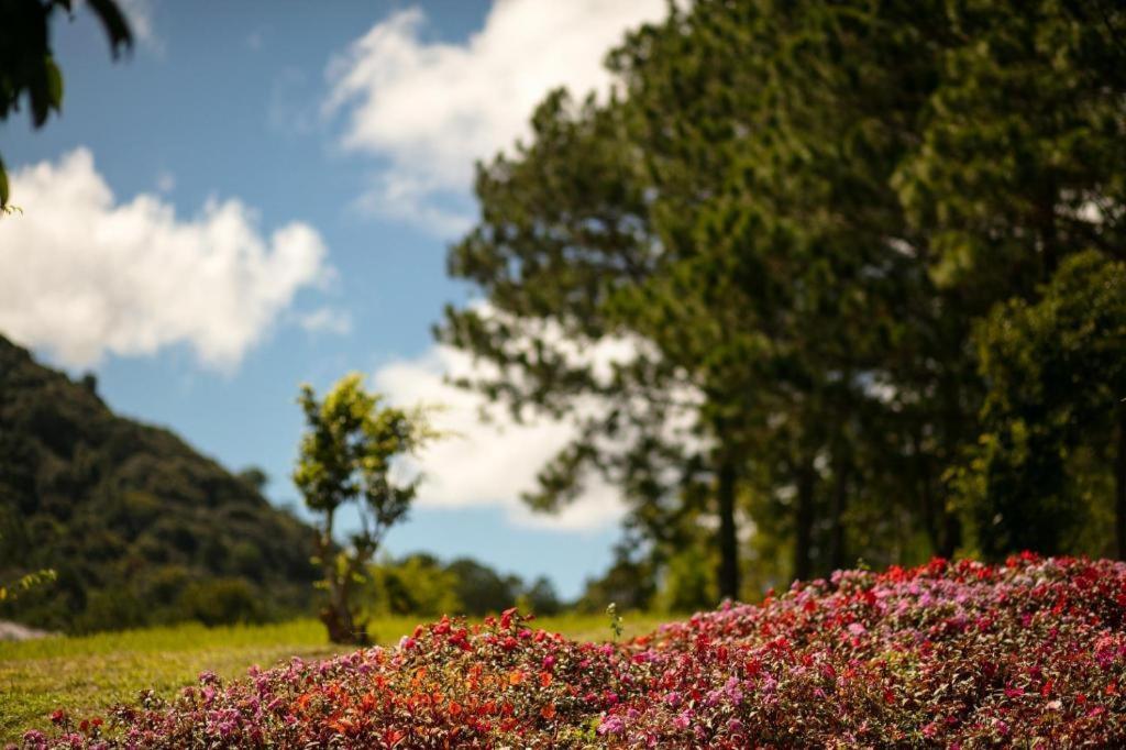 Sam Tuyen Lam Resort 달랏 외부 사진
